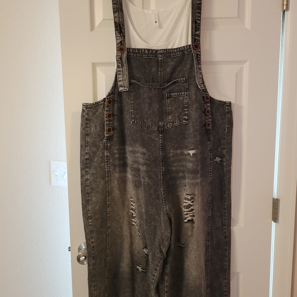 Easel cropped overall